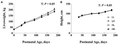 Periconception and First Trimester Diet Modifies Appetite, Hypothalamic Gene Expression, and Carcass Traits in Bulls